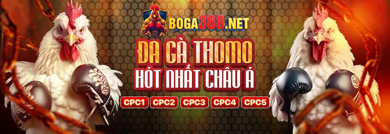 Sân đá gà kịch tính tại Saobet Link Vào